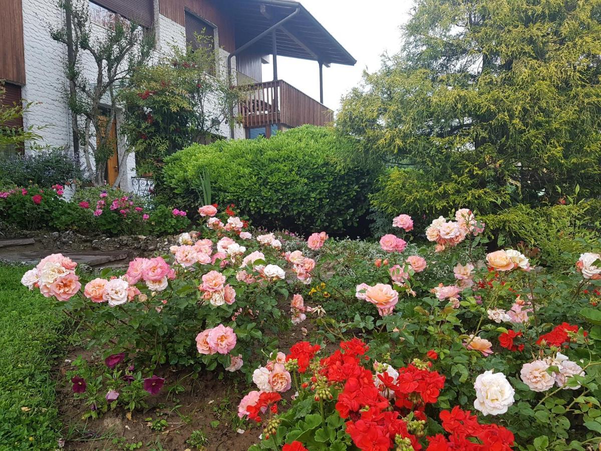 B&B Fontanella Curno Zewnętrze zdjęcie