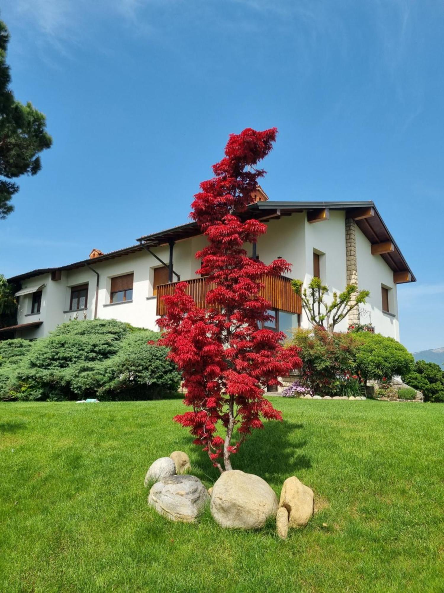 B&B Fontanella Curno Zewnętrze zdjęcie
